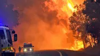 Kebakaran hutan Australia pada 2016. (AFP)