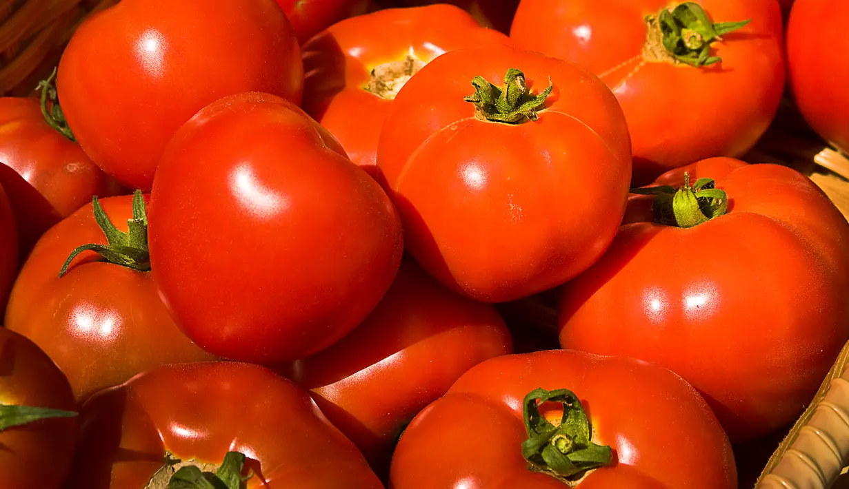 Dilengkapi dengan vitamin C dan lycopene fitokimia, tomat merangsang produksi asam amino yang dikenal sebagai karnitin. Penelitian telah menunjukkan carnitine membantu mempercepat kapasitas pembakaran lemak tubuh. (Istimewa)