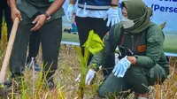 BBKSDA Riau menanam pohon pisang di sekitar Tol Pekanbaru-Dumai untuk cegah gajah masuk tol. (Liputan6.com/Istimewa)