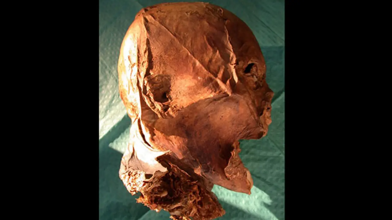 mummy-raja-131010c.jpg