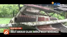 Serangan hewan liar ke permukiman penduduk terjadi di Kabupaten Nagan Raya, Aceh. Untuk ke sekian kalinya, gajah liar merusak lahan dan rumah warga.