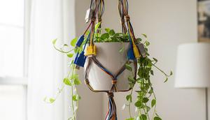 Barang Elektronik Bekas yang Bisa Dimanfaatkan untuk Berkebun. Foto: Gemini