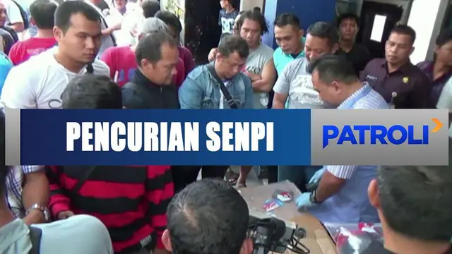 Detik-Detik Baku Tembak antara Polisi dan Pencuri Senpi di Jambi