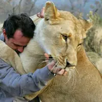 Binatang juga bisa menolong seperti manusia, lho! :D