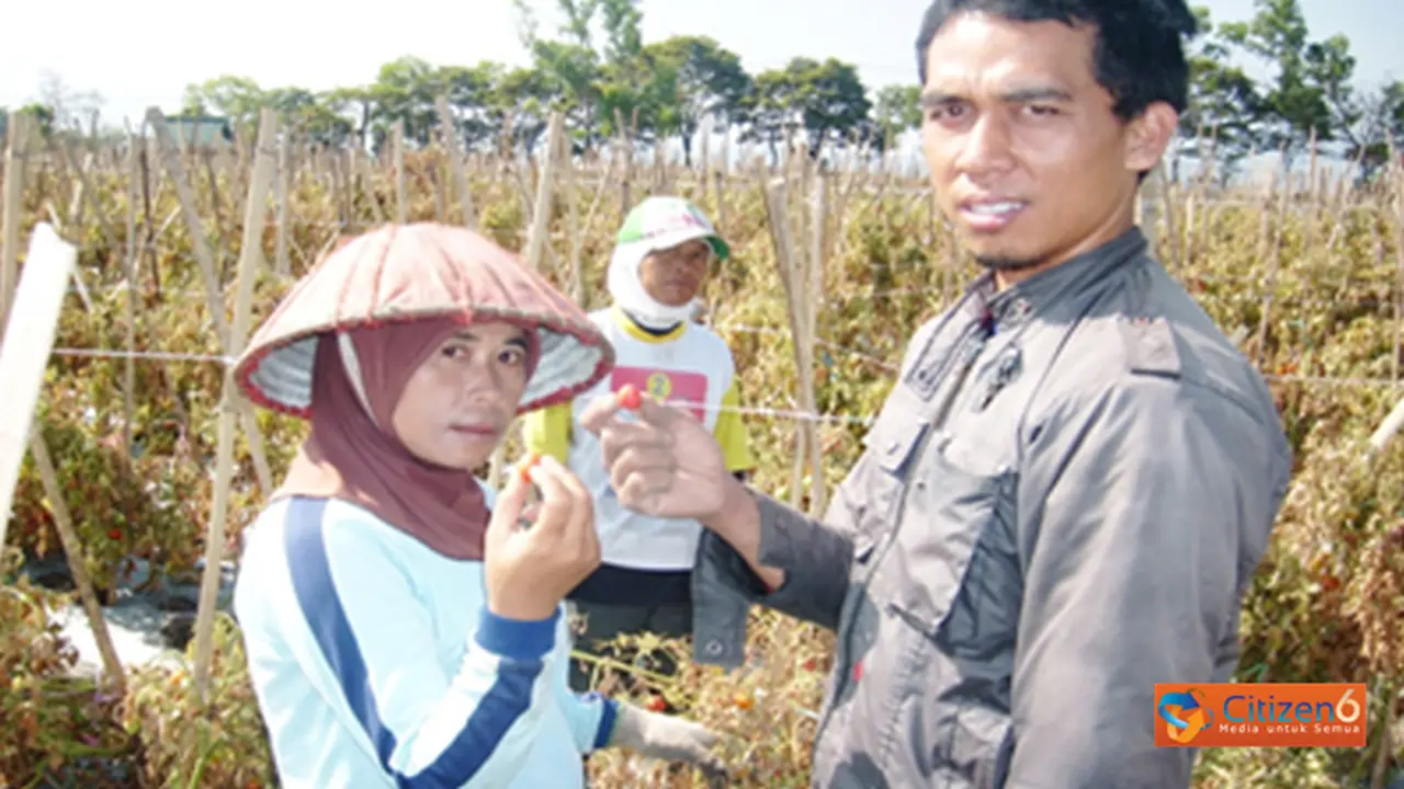 130927btomat.jpg