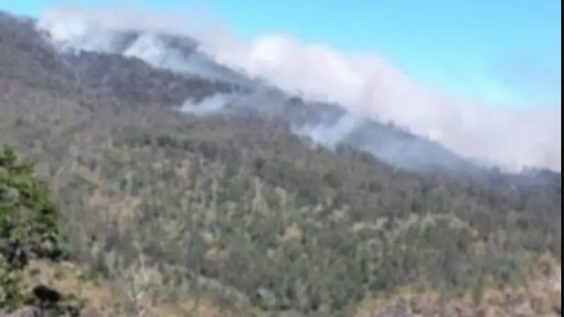 Gunung Argopuro kebakaran, pendakian ditutup sementara. (Istimewa)