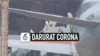 korea corona
