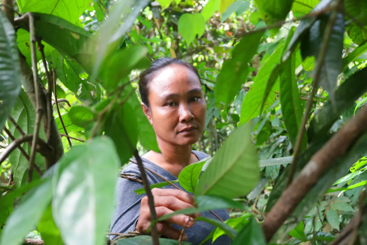 Teguh Santika