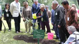 Putri Astrid (tengah) didampingi sejumlah Menteri delegasi Kerajaan Belgia menyiram pohon bambu (Bambusa lako Widjaja/Poaceae) yang baru ditanmanya di Kebun Raya Bogor, Jawa Barat, Rabu (16/3). (Liputan6.com/Faizal Fanani)