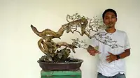 Afifudin, seorang penggemar Bonsai di Pamekasan, Madura.