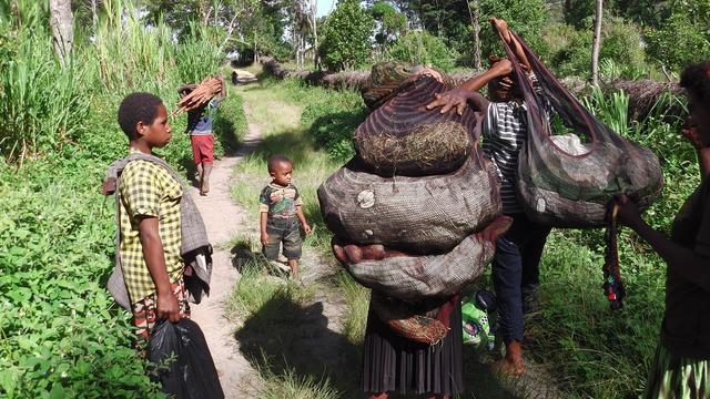 Wayang kulit merupakan seni pertunjukan asli Indonesia yang berkembang pesat di Pulau Jawa dan Bali//Pada setiap pertunjukannya, wayang kulit menampilkan cerita tentang dewa-dewi, persilatan dan kepahlawanan dengan gaya tutur tersendiri//pada tanggal...
