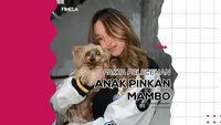 Nama Michelle Ashley mencuat karena dalam sebuah podcast jika anak Pinkan Mambo tersebut pernah menjadi korban pelecehan ayah tiri. Selengkapnya tentang fakta kasus ini, simak dalam video berikut!