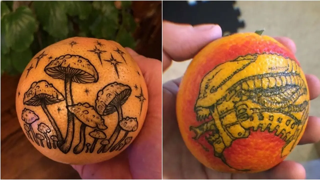 7 Potret Tato di Buah Jeruk Ini Menakjubkan, Punya Manfaat Tak Terduga