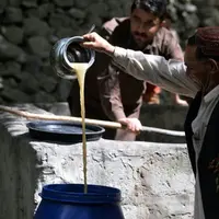 Desa terpencil di Pakistan yang memproduksi 'wine' lokal.