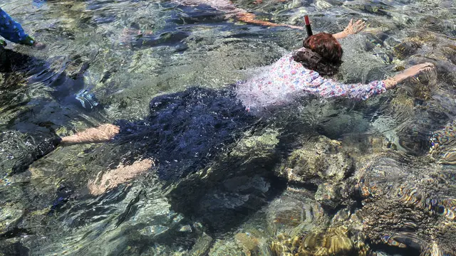 Susi Pudjiastuti