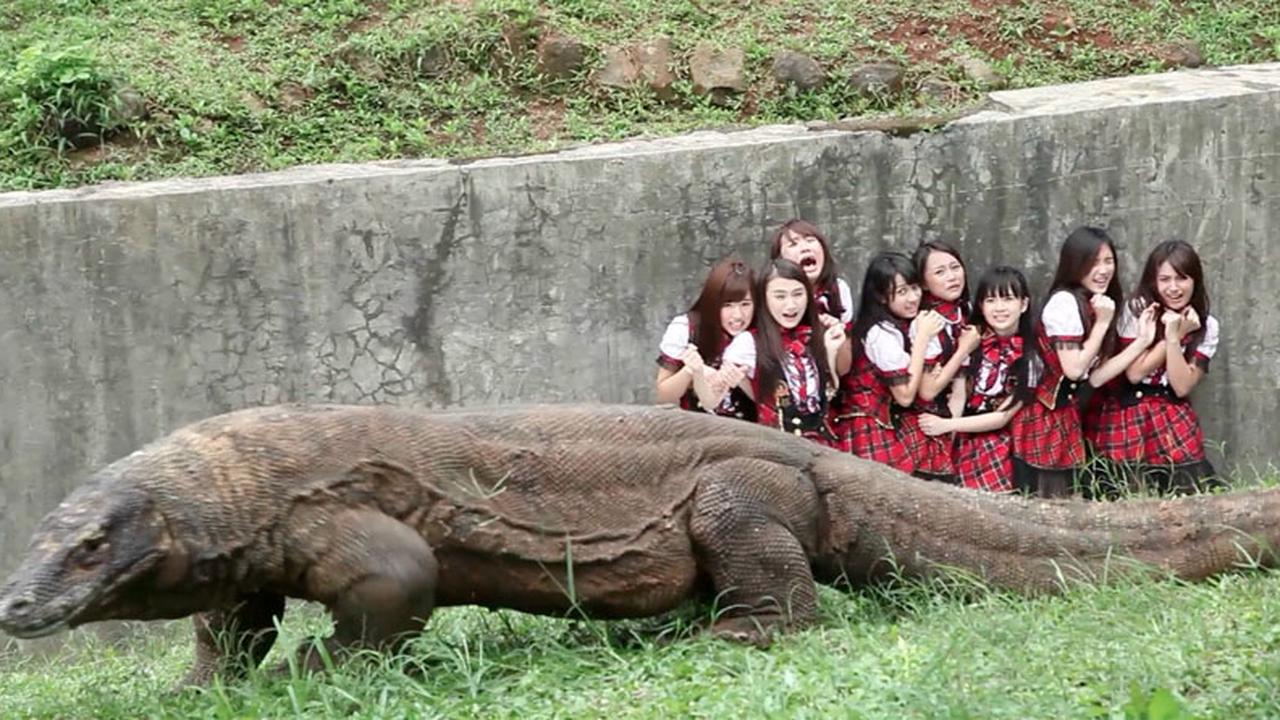 Nabilah JKT 48 Dibuang di Kandang Komodo