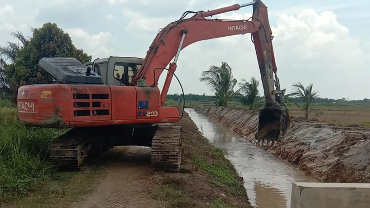 Genjot Produksi Pertanian, Kementan Optimasi Lahan Rawa 500 Hektar di Aceh Utara