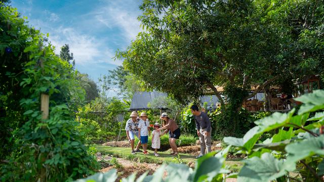 Opsi Isi Liburan Sekolah Anak dengan Belajar Lingkungan di Bali dan Labuan Bajo