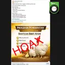 Cek Fakta: Hoaks Tautan Pendaftaran Bantuan Bibit Ayam dari Pemerintah 2026