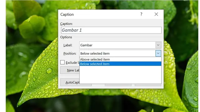 Cara membuat daftar gambar di Microsoft Word
