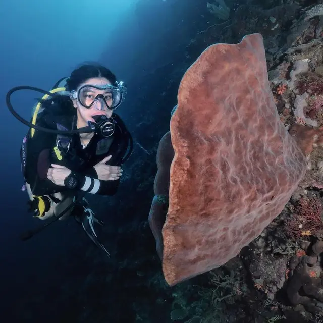 [Fimela] Naysila Mirdad diving