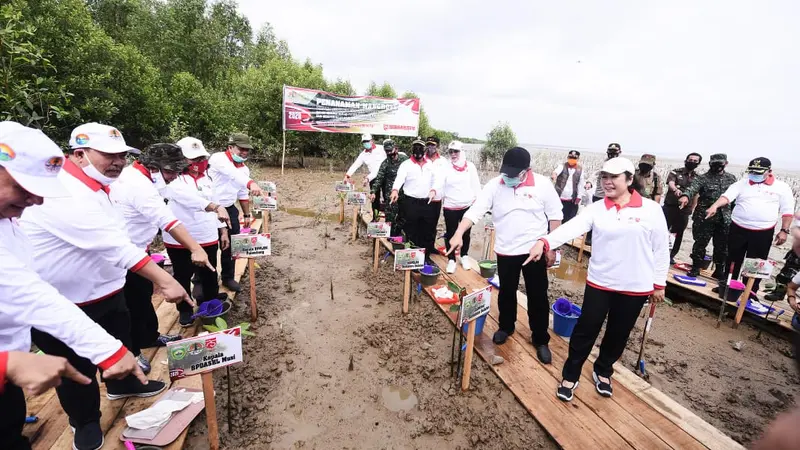 Taman Wisata Mangrove di Sumsel Siap Saingi Bali