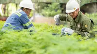 Melihat Komitmen Bisnis Keberlanjutan ABMM