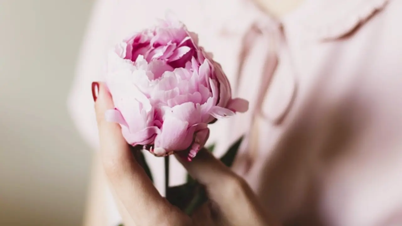 Foto: copyright pexels.com/u/kpaukshtite/
