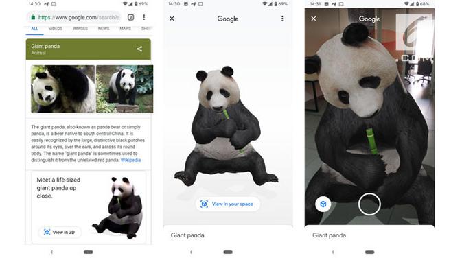 60+ Cara Gambar Hewan Panda Terbaru