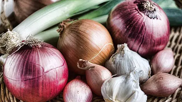 9 Barang Dapur yang Sering Salah Disimpan, Hindari Picu Kerusakan Cepat