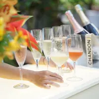 Raffles Garden Soiree bersama Chandon. Foto: Document/Raffles Jakarta.