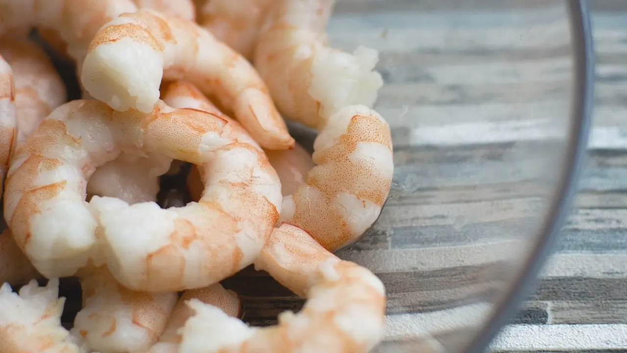 udang