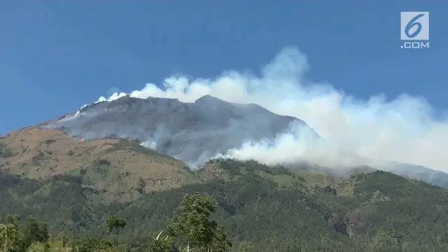 VIDEO: Terungkap, Gunung Sindoro Ternyata Sengaja Dibakar