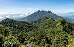 PLTP Gunung Ungaran Ditargetkan Beroperasi 2031, Pengembangan Bertahap