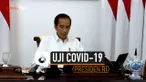 THUMBNAIL CORONA
