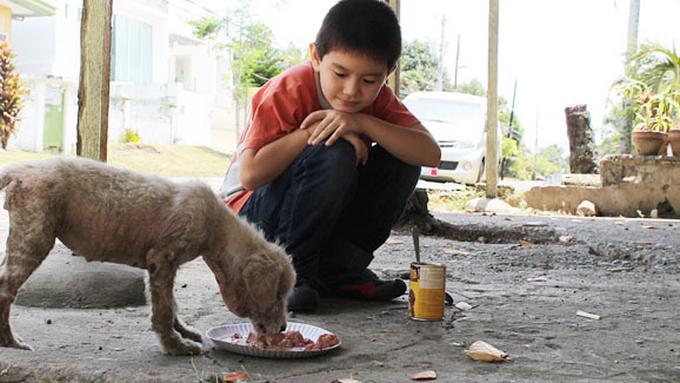 9500 Gambar Anak Merawat Hewan Terbaik