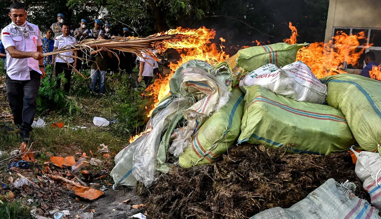 Kapolda Aceh, Irjen Pol Marzuki Ali Basyah, mengatakan pengungkapan narkotika ini dari tiga wilayah berbeda, yakni Gayo Lues, Aceh Utara, dan Kota Sabang. (Chaideer MAHYUDDIN/AFP)