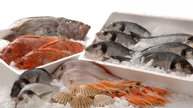 Frozen seafood