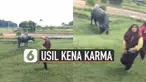 Tiga remaja ini berniat akan membuat konten di taman yang ada kerbaunya. Namun karena mereka bergaya-gaya di dekat kerbau, hampir saja mereka dikejar olehnya.