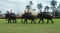 Gajah Sumatera ikut upacara (Liputan6.com / M.Syukur)