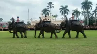 Aksi Mengagumkan Gajah Sumatera Ikut Upacara