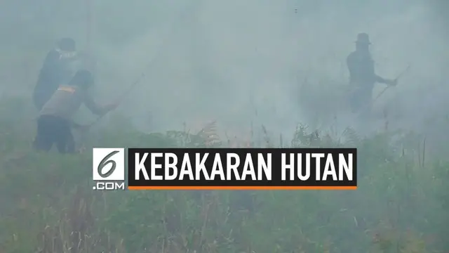 Presiden Joko Widodo atau Jokowi tak mau kebakaran hutan dan lahan (karhutla) 2015 terulang kembali. Jokowi pun menegaskan tak segan mencopot para Kapolda, Kapolres, Danrem, hingga Pangdam yang tidak mampu mengatasi karhutla.