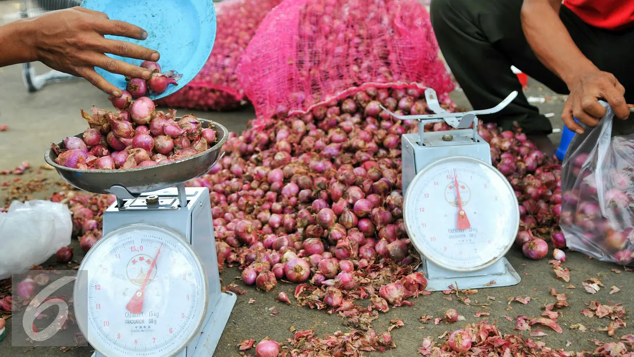 Bawang Selundupan, Zumi Zola