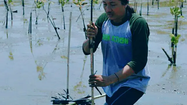 Hari Pohon Sedunia