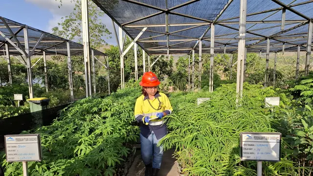 Anak usaha PT Merdeka Copper Gold Tbk (MDKA) yakni PT Bumi Suksesindo telah melakukan reklamasi lahan eks lokasi tambang seluas 77,3 hektar di kawasan pertambangan Tujuh Bukit, Banyuwangi (Foto: Liputan6.com/Agustina Melani)