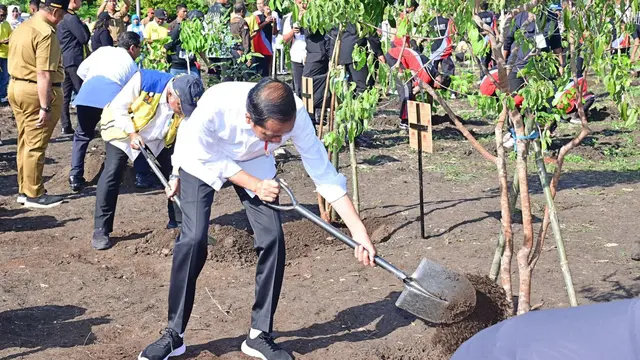 Presiden Jokowi bersama masyarakat Kota Kupang melaksanakan kegiatan tanam pohon di Jalan El Tari, Kota Kupang, NTT, Rabu (6/12/2023).