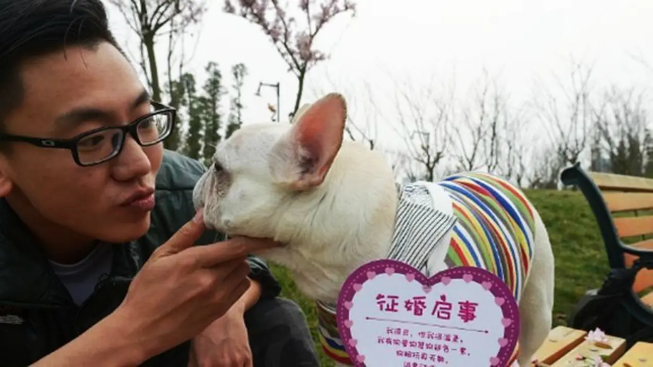 Photo: Copyright shanghaiist.com