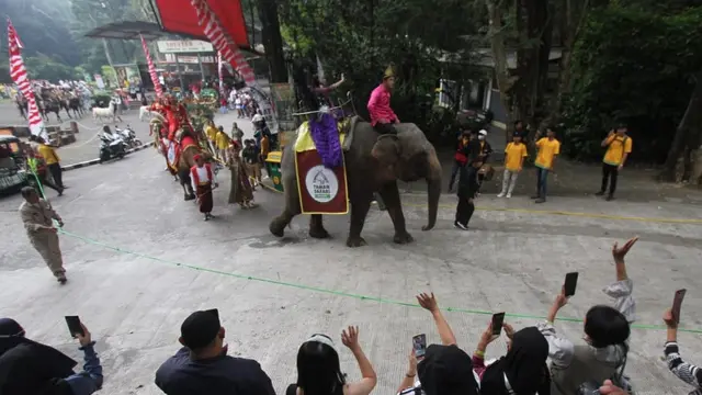 Kemeriahan HUT ke-78 RI di Taman Safari Bogor