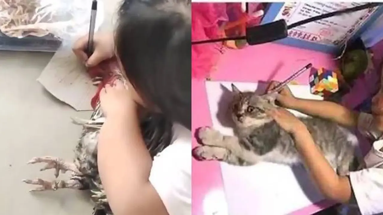 6 Potret Aksi Nyeleneh Anak saat Menjiplak Gambar, Ada yang Pakai Kucing