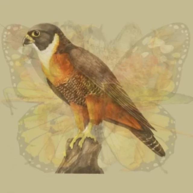 Hewan Pertama yang Dilihat Ungkap Sifat Dominan Kamu